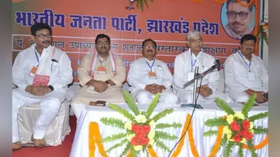 सीएनटी पर अर्जुन मुंडा के पत्र को ले सीएम रघुवर गंभीर : भाजपा प्रदेश अध्यक्ष
