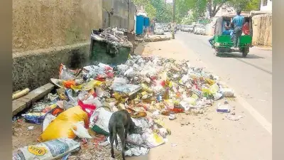 शहर की सफाई व्यवस्था आज से रहेगी ठप, सात हजार कर्मी करेंगे काम बाधित