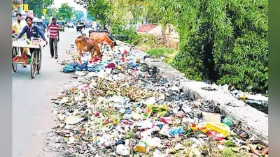 बिहार के 12 नगर निगमों से निकल रहा 32 हजार टन प्लास्टिक कचरा, टास्क फोर्स की लापरवाही से कोर्ट नाराज
