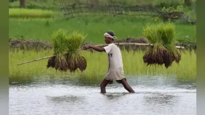 10 साल में भारत बनेगा दुनिया की तीसरी सबसे बड़ी अर्थव्यवस्था : HSBC