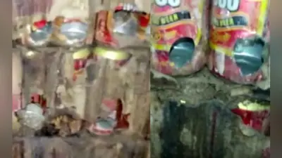 बोतल नहीं, केन बीयर पीने के शौकीन हैं बिहार के चूहे, …जानें क्या है मामला?