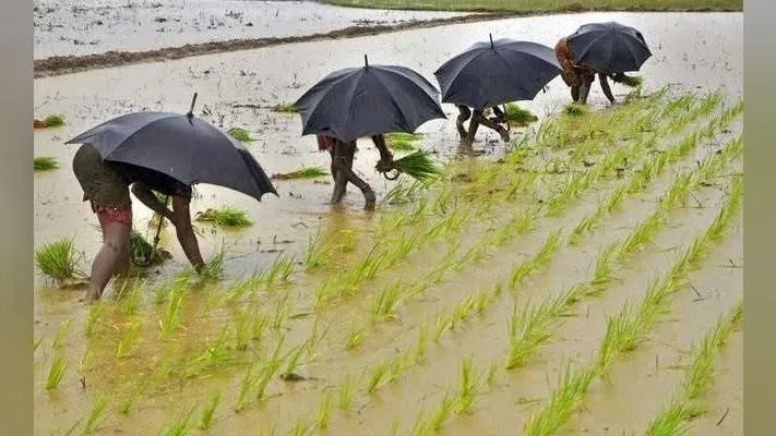 पटना : अक्टूबर में सामान्य से 94% कम बारिश, गेहूं की बुआई पर संकट