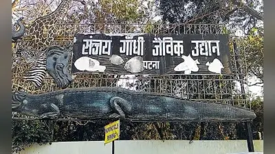 पटना जू में लगेगा पब्लिक एड्रेस सिस्टम, आपदा के समय बचने में मिलेगी मदद
