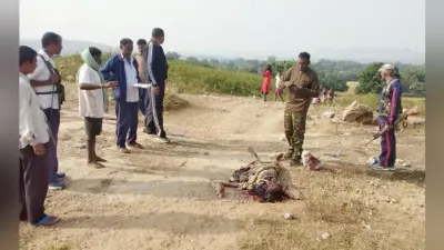 Jharkhand : गुमला में खेत से घर जा रही सहिया की पत्थर से कूचकर हत्या