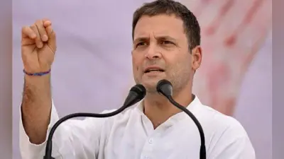 राहुल का पीएम मोदी पर तीखा प्रहार, कहा – एक व्यक्ति ने देश के सब चौकीदारों को बदनाम कर दिया