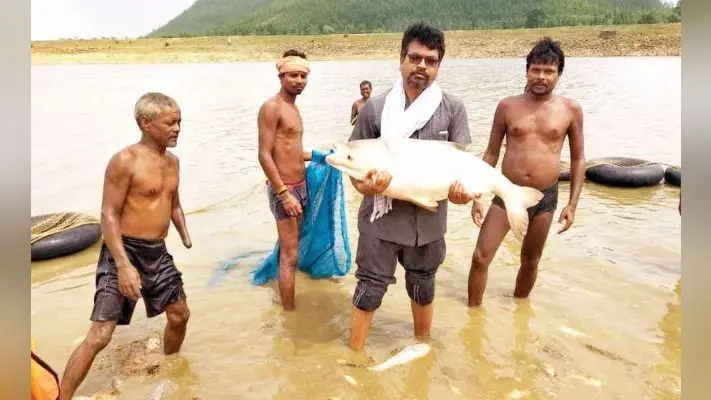 पानी की खेती का अब नया नारा जहां मिले पानी, वहां मछली रानी