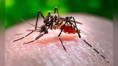 बिहार में प्राइवेट अस्पताल छिपा रहे डेंगू का डाटा, सरकारी अस्पतालों में 118 केस, निजी में एक भी नहीं