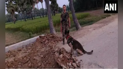 नक्सलियों ने सुरक्षाबलों को उड़ाने की रची थी साजिश, अर्द्धसैनिक बल ने मंसूबे को किया नाकाम