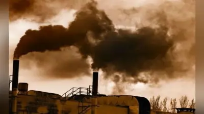 Green Peace India की सलाह : वायु प्रदूषण बच्चों के स्वास्थ्य के लिए सबसे बड़ा खतरा, सरकार को उठाने होंगे सख्त कदम