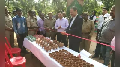 लोहरदगा में ग्रीन दिवाली को बढ़ावा दे रहा है वन विभाग