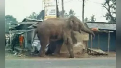 हिम्मत को नहीं मिली राहत, अब सात मामलों की होगी सुनवाई, अदालत ने 11 नवंबर तक जेल भेजा