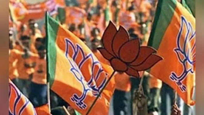 रांची : बेदाग है रघुवर सरकार, भ्रम फैला रहा है विपक्ष : भाजपा
