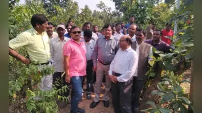 डीडीसी ने ललपनिया पहुंचकर लिया सरना महाधर्म सम्मेलन की तैयारियों का जायजा, समीक्षा बैठक की