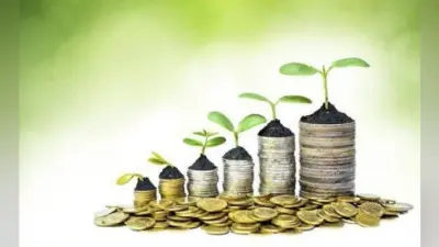 Mutual Funds में करना चाहते हैं निवेश, जानें इन फ्लेक्सी कैप फंड के बारे में, निवेशकों को मिला बंपर रिटर्न