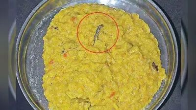 आंगनबाड़ी केंद्र की खिचड़ी में छिपकली, फूटा अभिभावकों का आक्रोश