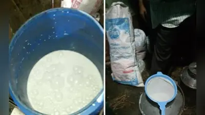 पश्चिम बंगाल : डिटर्जेंट पाउडर व अरारोट के मिश्रण से बनाते थे नकली दूध, तीन गिरफ्तार