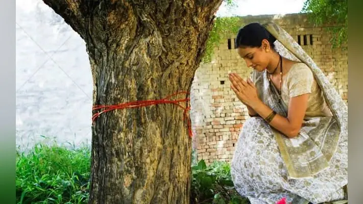 खरसावां : आंवला नवमी पर महिलाओं ने की आंवला वृक्ष की परिक्रमा