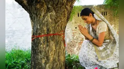 खरसावां : आंवला नवमी पर महिलाओं ने की आंवला वृक्ष की परिक्रमा