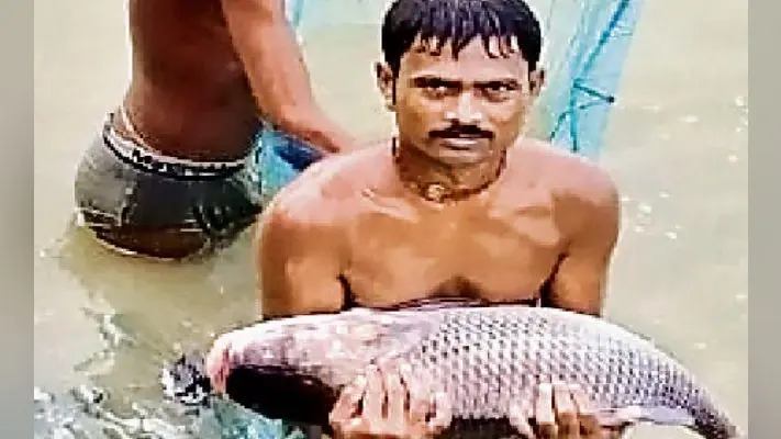 22 को विश्व मत्स्य दिवस पर पटना में दिखायी जायेगी फिल्म, सीएम भी रहेंगे मौजूद, मत्स्यपालकों को किया जायेगा प्रेरित