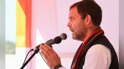 बोले राहुल गांधी- राष्ट्रीय स्तर पर भाजपा-आरएसएस और कांग्रेस के बीच विचारधारा की लड़ाई