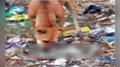 नवजात के शव को नोंचता रहा कुत्ता, वीडियो बनाते रहे लोग