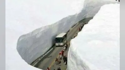 पर्यटकों के लिए खुला रोहतांग दर्रा, लोगों ने ली राहत की सांस