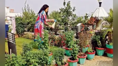 खूबसूरत गार्डन से बढ़ती है बालकनी और घर की रौनक