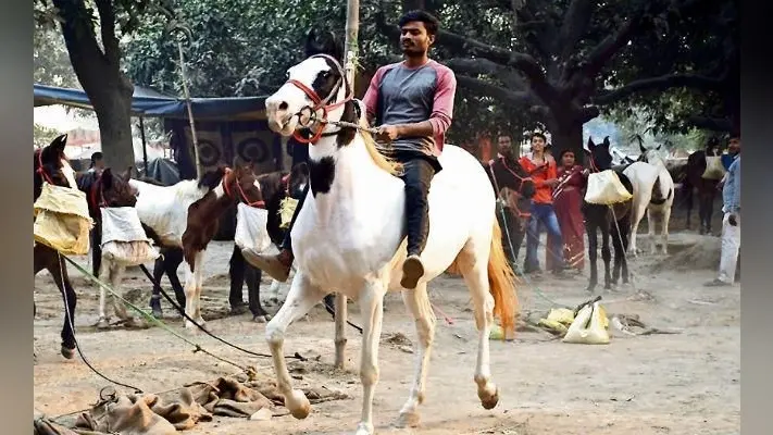 हरिहर क्षेत्र का विश्व प्रसिद्ध सोनपुर मेला इस बार 6 न��ंबर से 7 दिसंबर तक होगा आयोजित, तैयारी शुरू
