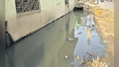 बारिश में मौत को दावत देते हैं सड़क के गड्ढे, गलियों में नाले