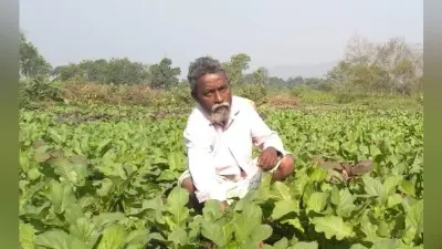 jharkhand@18: इस बार पढ़िए, जैविक खेती से लाखों का मुनाफा कमा रहे नरेश किस्कू की कहानी