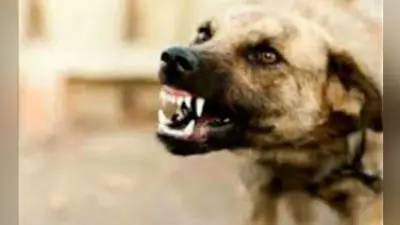 यूपी पुलिस के दरोगा का सिर फोड़ कुत्ते से कटवाया, बिहार दबिश देने पहुंची कानपुर सेंट्रल पुलिस टीम पर हमला