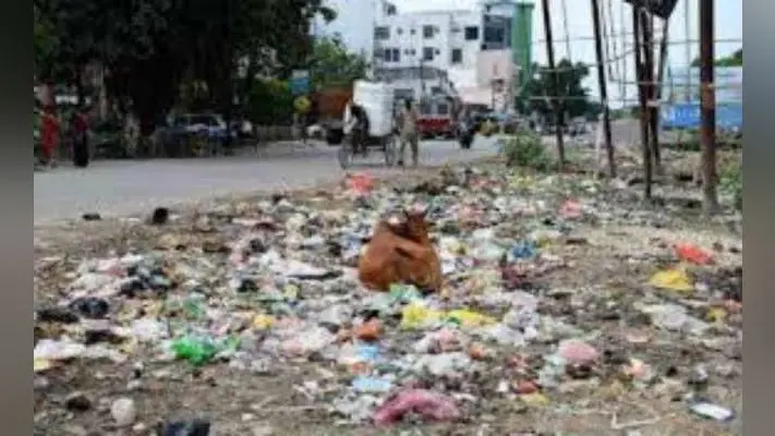मधुपुर : शहर में हर तरफ पसरी गंदगी, नहीं होती सफाई