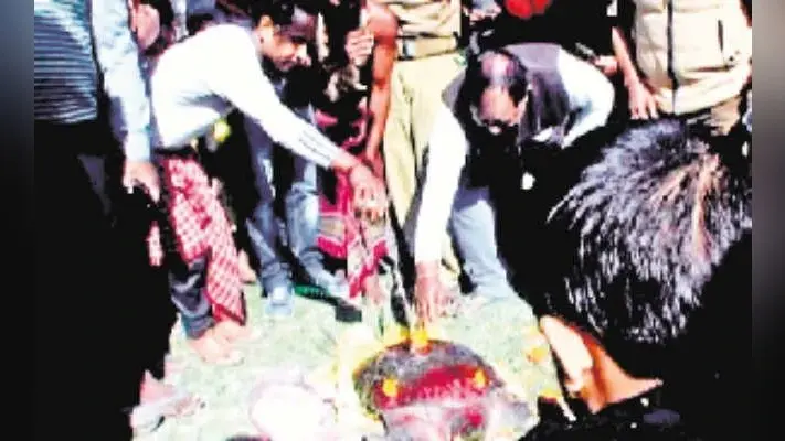 जलपाईगुड़ी : इस जानवर को देखकर चौक गये सभी, इलाज के बाद मुजनई नदी में वनकर्मियों ने छोड़ा