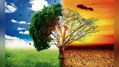 जलवायु परिवर्तन से भारत की जीडीपी को नुकसान, जानें