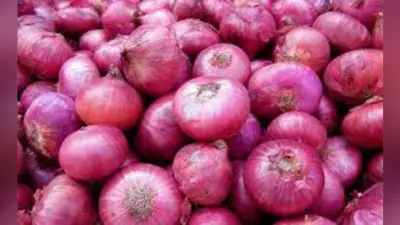 कोलकाता : नासिक के किसानों की मदद के लिए प्याज की नीलामी करेगी एमएसटीसी