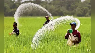 बिहार सरकार ने उर्वरक संकट के लिए केंद्र को ठहराया जिम्मेदार, 32 फीसदी कम यूरिया मिलने से बढ़ी परेशानी