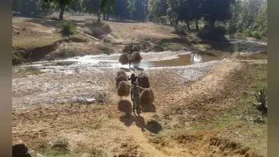 गुमला : ग्रामीणों का फैसला, पुल नहीं बना तो वोट का करेंगे बहिष्कार