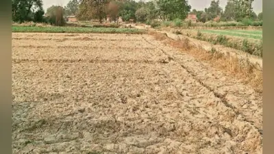 बार-बार अंचल कार्यालय से बदल कर भेजी जा रही रिपोर्ट