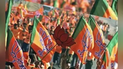 गुजरात उपचुनाव : जसदण में भाजपा जीती, विधानसभा में पार्टी का संख्या बल 100 पर पहुंचा