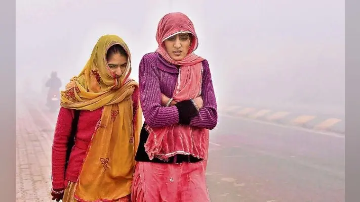 Weather News: शीतलहर ने तोड़ा 5 साल का रिकॉर्ड, अगले 48 घंटों में गलन वाली ठंड होगी महसूस
