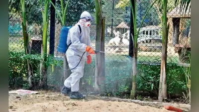 बर्ड फ्लू फैलने से पटना जू हुआ बंद, सात दिनों में छह मोरों की मौत