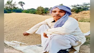 बिहटा : नहीं शुरू हुई खरीद, खुले में पड़ा है धान, किसान निराश