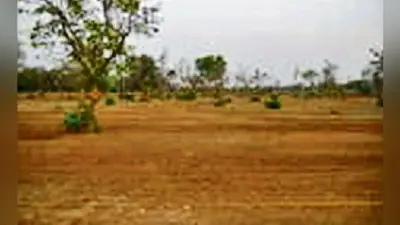 पटना : निवेशकों को मिलेगी चीनी मिलों की 2265 एकड़ जमीन