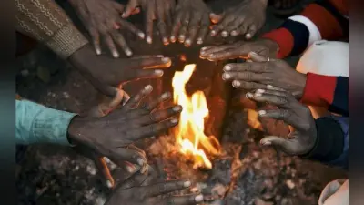 Bihar Weather Update: मौसम विभाग ने बिहार को किया सचेत, शीतलहर के बढ़ते प्रभाव से इम्यून सिस्टम हो रहा प्रभावित