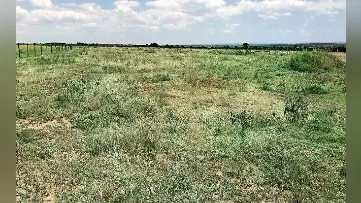 पटना : एयरफोर्स से जमीन की अदला-बदली में अटका बिहटा एयरपोर्ट का भूमि अधिग्रहण