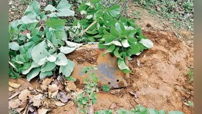 हजारीबाग : एटीएम लेकर नहीं भाग सके तो जंगल में छुपाया, बरामद