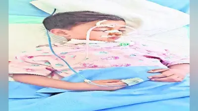 नागेश्वर की स्थिति में तेजी से हो रहा है सुधार