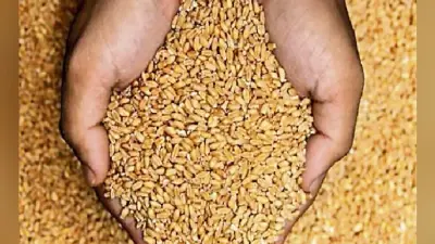 पटना : हॉस्टलों के छात्रों को 20 से मिलेगा मुफ्त में अनाज