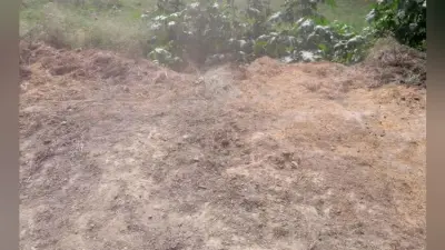 सीवान : हथियार लहराते हुए माले समर्थकों ने तोड़ा धार्मिक स्थल