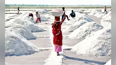 रांची : अब डबल फोर्टिफाइड की जगह बंटेगा आयोडिन नमक